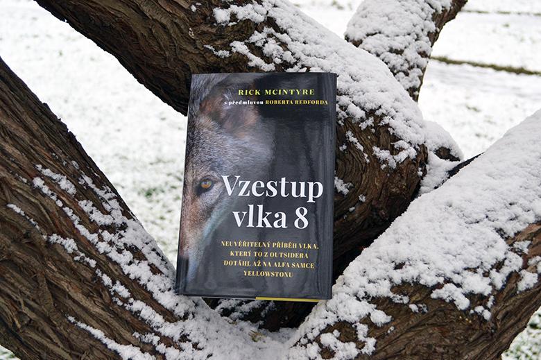 Smečka z Yellowstonu